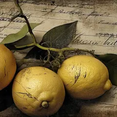 „Lemon Jutro”: Analiza tekstowa i interpretacja - Czy coś się za tym kryje?