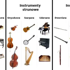 Podział instrumentów muzycznych i rodzaje instrumentów