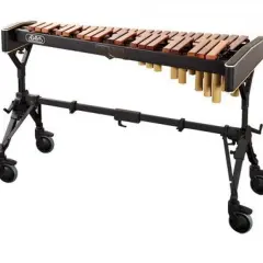  Ksylofon - jak grać, historia, rodzaje i ciekawostki tego niezwykłego instrumentu