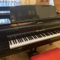 Różnice między fortepianem a pianinem - przewodnik