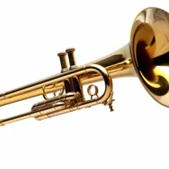 Instrument muzyczny puzon - Opis, Historia, Zastosowanie