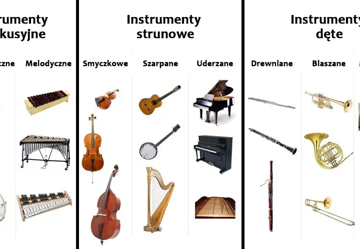 Podział instrumentów muzycznych i rodzaje instrumentów