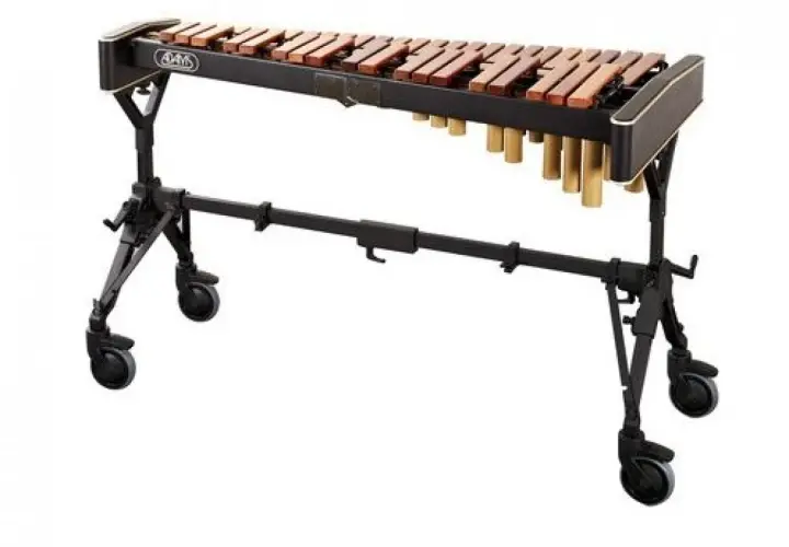  Ksylofon - jak grać, historia, rodzaje i ciekawostki tego niezwykłego instrumentu