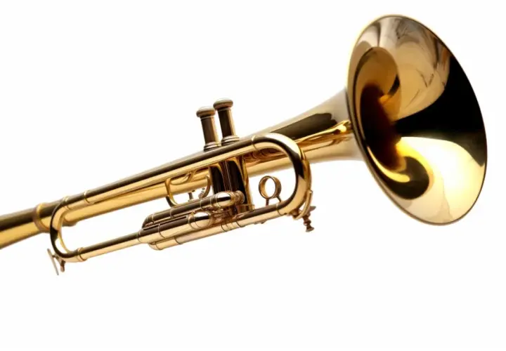 Instrument muzyczny puzon - Opis, Historia, Zastosowanie