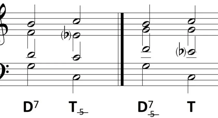 Rodzaje harmonii ręcznej: wszystko, co musisz wiedzieć o typach