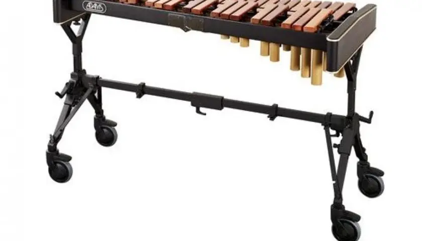  Ksylofon - jak grać, historia, rodzaje i ciekawostki tego niezwykłego instrumentu