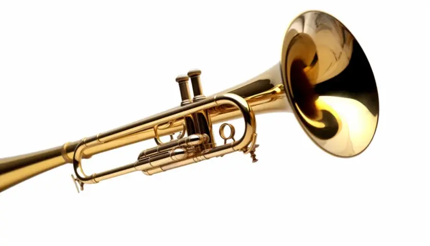 Instrument muzyczny puzon - Opis, Historia, Zastosowanie