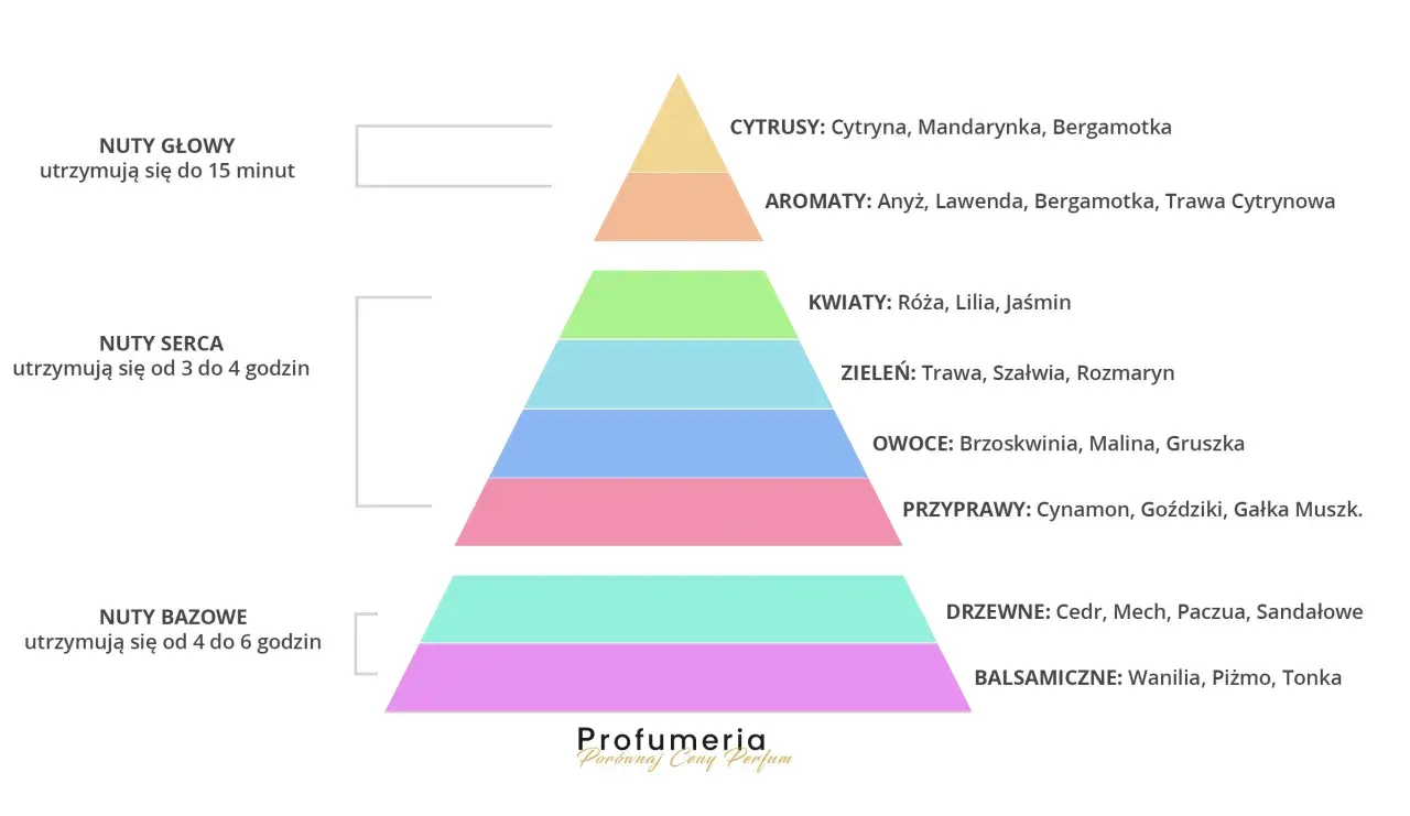 Piramide zapachowa perfum: nuty głowy (cytrusy), serca (kwiaty, w tym **zapach róży akordy**) i bazy (drzewne, balsamiczne).